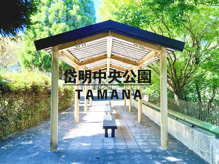 送料無料】[本/雑誌]/熊本県 玉名市 北 玉名・岱明 (ゼンリン